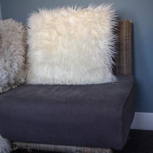 Comfort Kamer met Twee Aparte Bedden